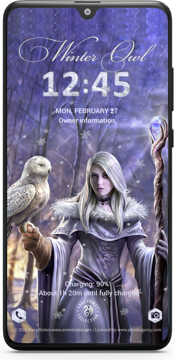 Anne Stokes: Winter Owl